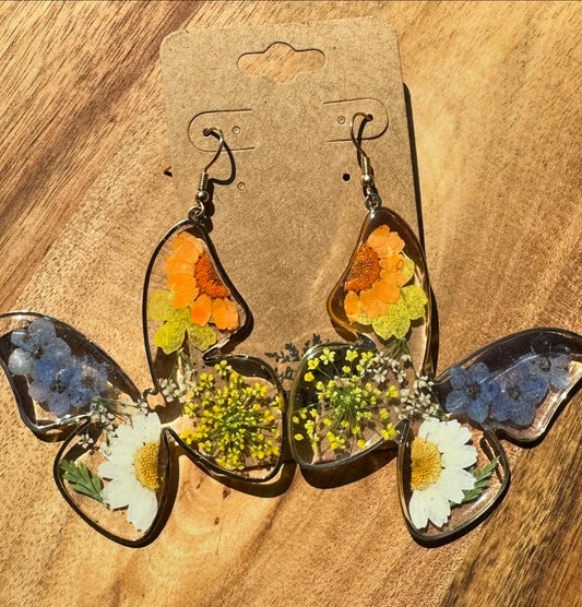 Large Spring Butterflies 🦋